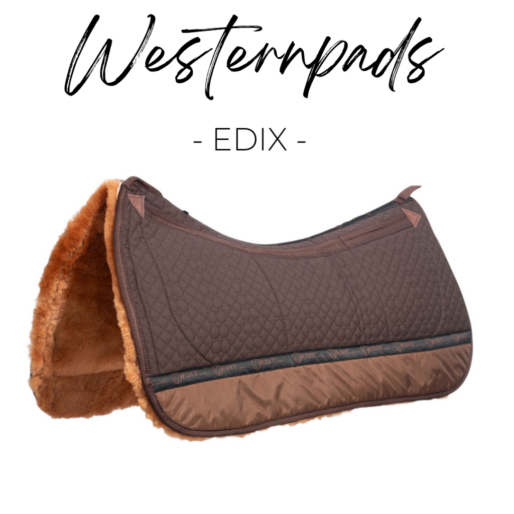 edix_western_title