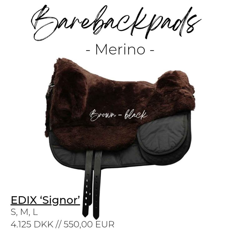 edix_signor_brown_black