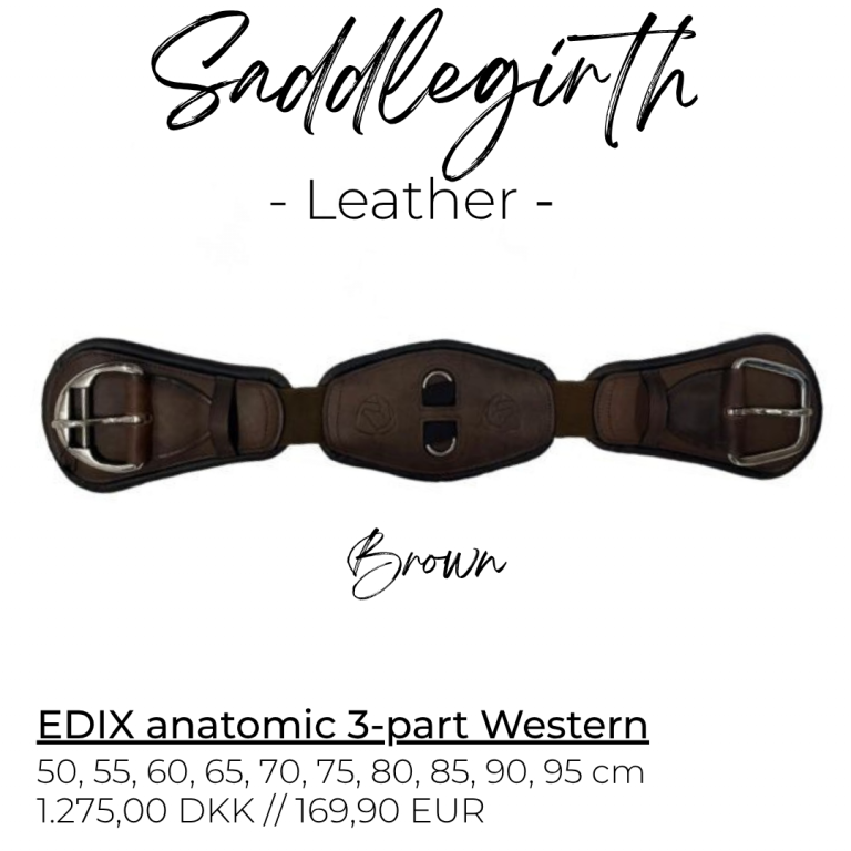 Edix_anatomic_western_brown