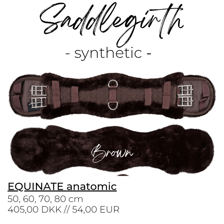 equinate_anatomic_synthetic_brown