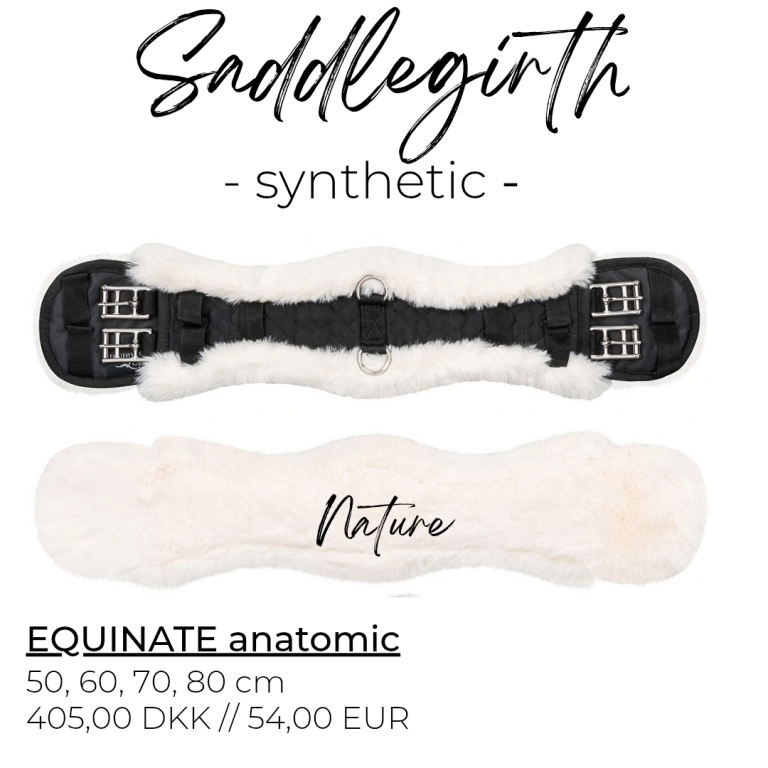 equinate_anatomic_synthetic_nature