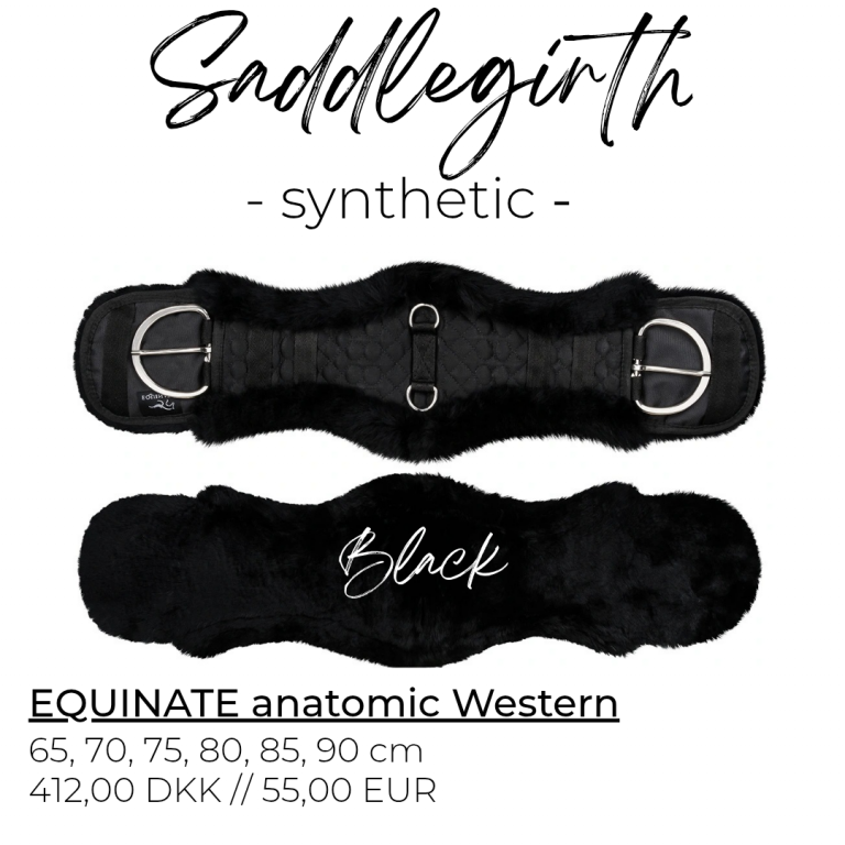 equinate_anatomic_synthetic_western_black