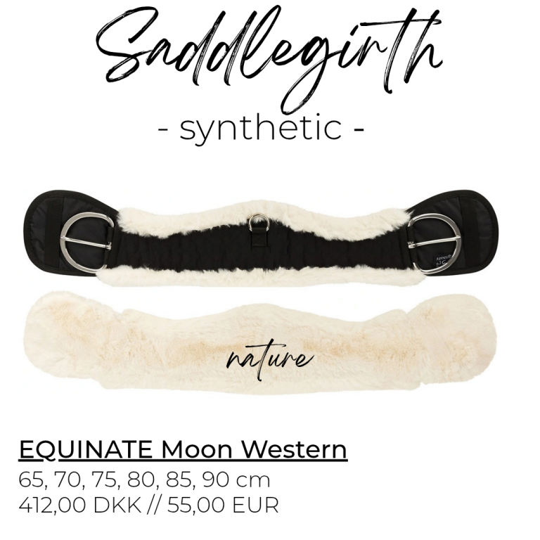 equinate_moon_synthetic_western_nature